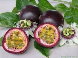 Passionsfrugt - Passiflora edulis var edulis - Billede 3