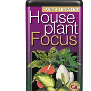 GT Houseplant Focus