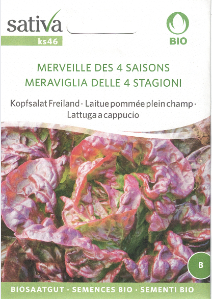 Salat - Merville des quatre saison - ØKO - Billede 3