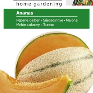 Melon - Ananas
