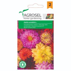 Dahlia double mix