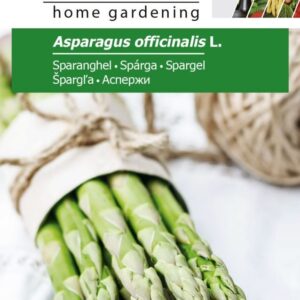 Asparges - Asparagus Officinalis