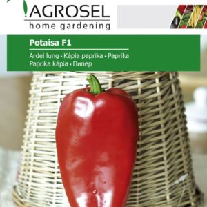 Peberfrugt - Potaisa F1