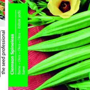 Okra - Clemson Spineless