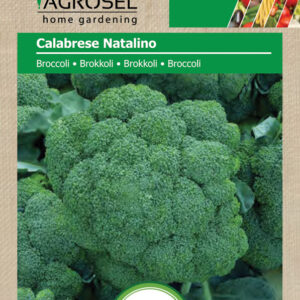 Broccoli - Calabrese Natalino ØKO