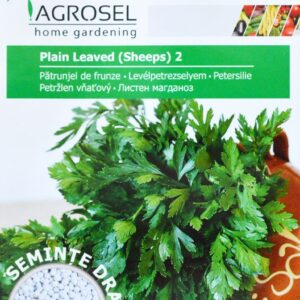 Persille glatbladet - Plain Leaved (Sheeps) 2 - PILLEFRØ
