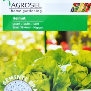 Salat - Helmuth - PILLEFRØ