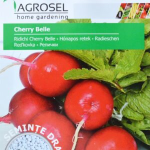 Radis - Cherry Belle - PILLEFRØ - PG4