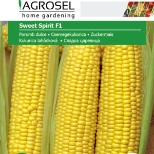 Sukkermajs - Sweet Spirit F1 - Big pack - PG 5
