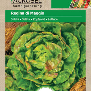 Salat - Regina di Maggio ØKO