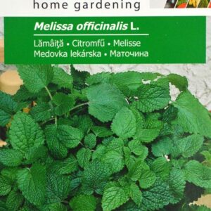 Melisse - Melissa officinalis L.