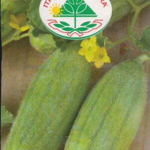 Agurk, Melon - Mezzo Lungo Di Polignano