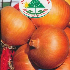 Løg - Dorata Di Parma