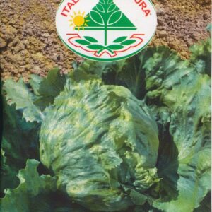 Salat, Iceberg - Great Lakes 118