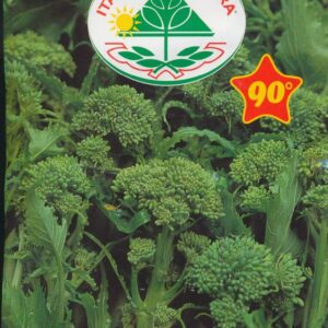 Rapini - Novantina Riccia S. Marzano 100 GRAM