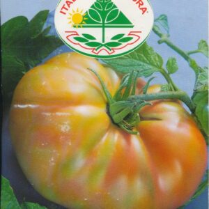 Tomat - Pantano Romanesco - Italia