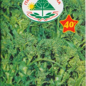 Rapini - Quarantina Riccia S. Marzano 100 GRAM