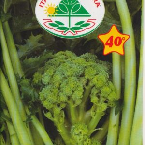 Rapini - Quarantina A Cima Grande