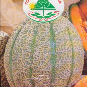 Melon - Retato Degli Ortolani