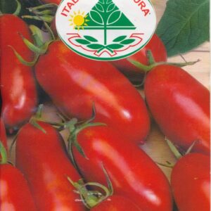 Tomat - San Marzano 2 (Nano) - Italia