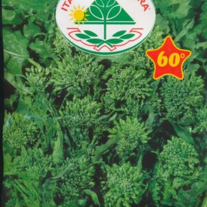 Rapini - Sessantina Riccia S. Marzano 100 GRAM