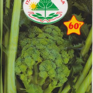 Rapini - Sessantina A Cima Grande