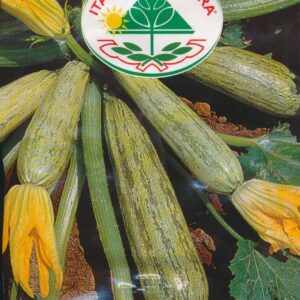 Squash - Striato Pugliese