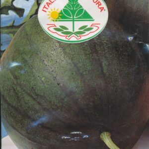 Melon, Vand - Sugar Baby 25 GRAM