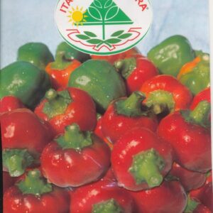 Peber - Tondo Piccante