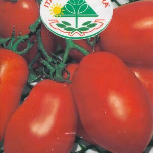 Tomat - Ventura - Italia