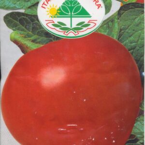 Tomat - Cuor di Bue - Italia