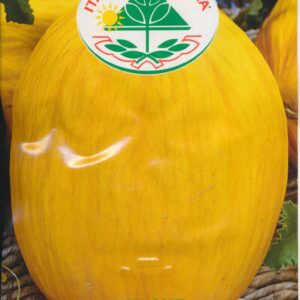 Melon - Amarillo Canaria