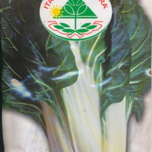 Bede, Blad - Da Costa Barese
