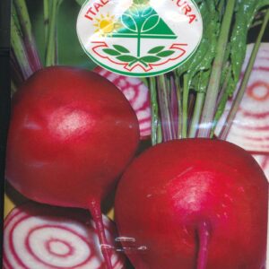 Bede, Bolsche - Tonda Di Chioggia