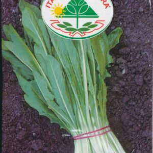 Cikorie, blad - Frastagliata (Per Cicoriella)