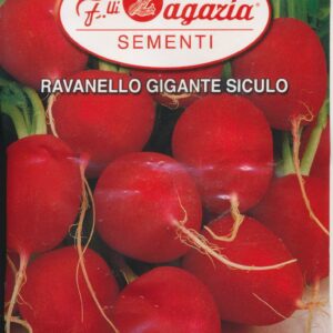 Radis - Gigante Siculo