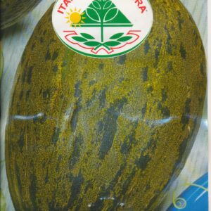 Melon - Pele de Sapo 25 GRAM