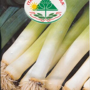 Porre - Porro De Carentan