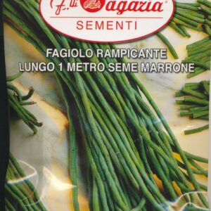 Bønne, Stang, Meterbønne - Lungo 1 metro seme Marrone - 100 gram