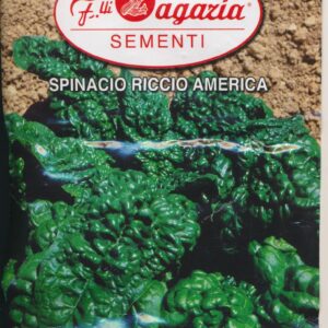 Spinat - Riccio America