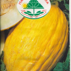 Melon - Rugoso Di Cosenza 25 GRAM