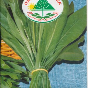 Cikorie, blad - Spadona Da Taglio