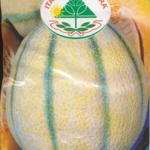 Melon - Supermarket 25 GRAM