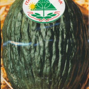 Melon - Tendral Verde (Tardivo) 25 GRAM