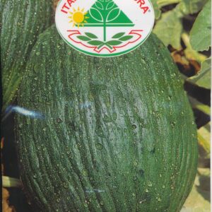 Melon - Valenciano Temprano (Precoce) 25 GRAM