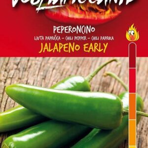 Jalapeño M - C. annuum