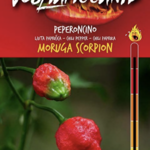Moruga Scorpion – C. chinense
