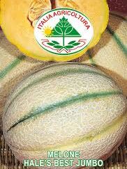 Melon - Hale´s Best Jumbo 25 GRAM