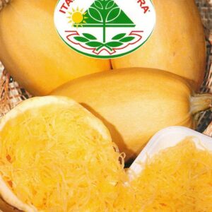 Spaghetti Squash - vegetable spaghetti