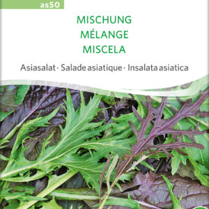 Salat MIX Asiatisk - ØKO